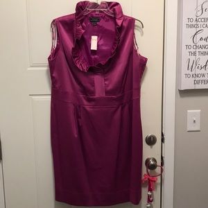 NWT Dress barn sleeveless fuchsia dress